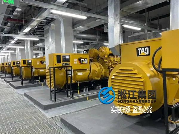 發電機SHM可調式彈簧減振器安全降噪